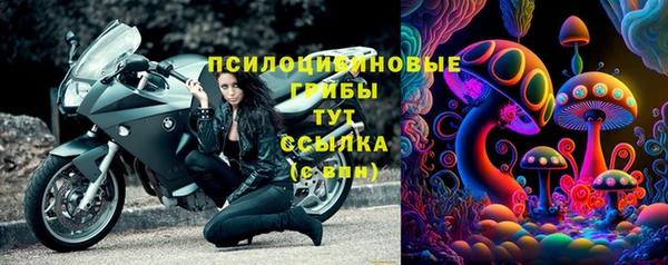 ПСИЛОЦИБИНОВЫЕ ГРИБЫ Алексин