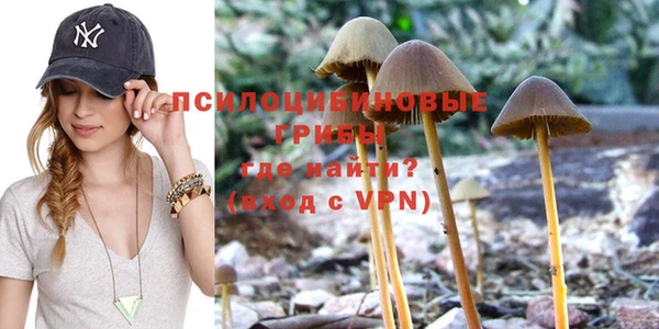 каннабис Алексеевка