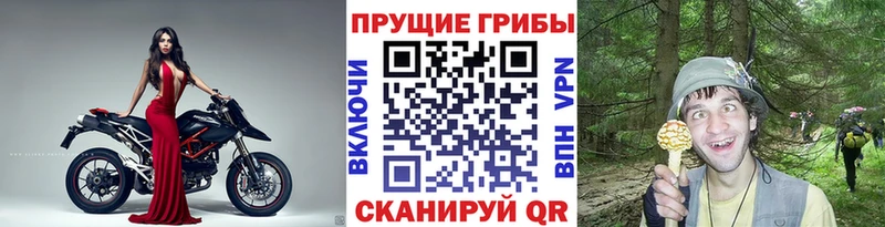 Галлюциногенные грибы ЛСД  MEGA рабочий сайт  Неман 